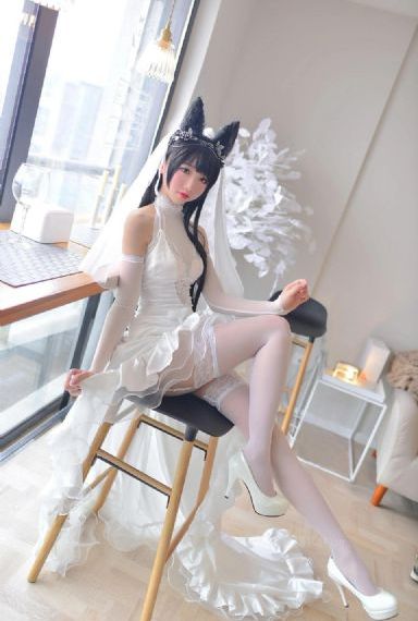 拔萝卜视频高清免费